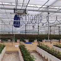 গ্রীনহাউস ইরিগেশন বুম