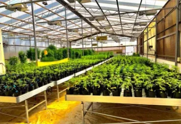 Seedling Film Greenhouse