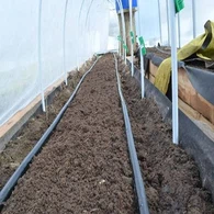 জোয়ার সেচ